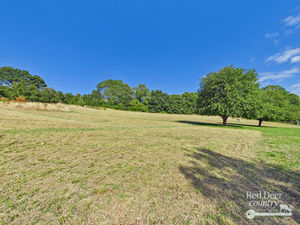 Field- click for photo gallery